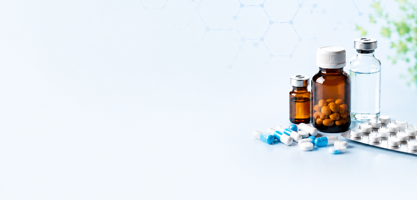 Integrative Medical Sciences